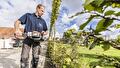 Hovenier(s) tuinonderhoud (fulltime)